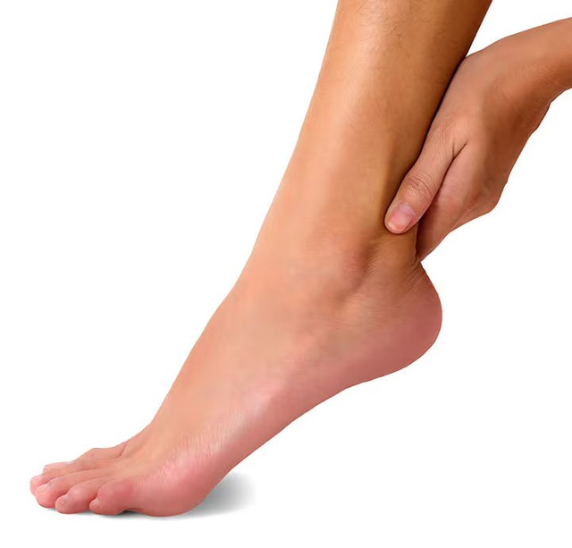 Ankle