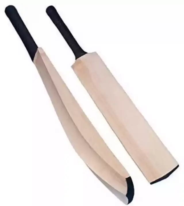 Bat