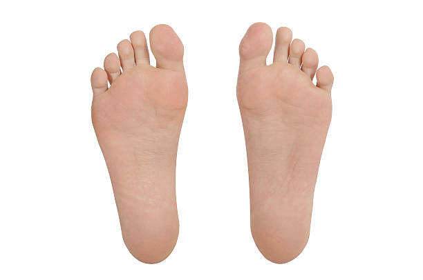 Sole