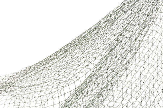 Net