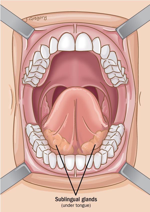 Under-tongue, Sublingua