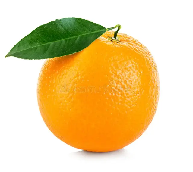 Fruit