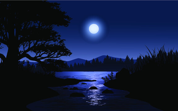 Night