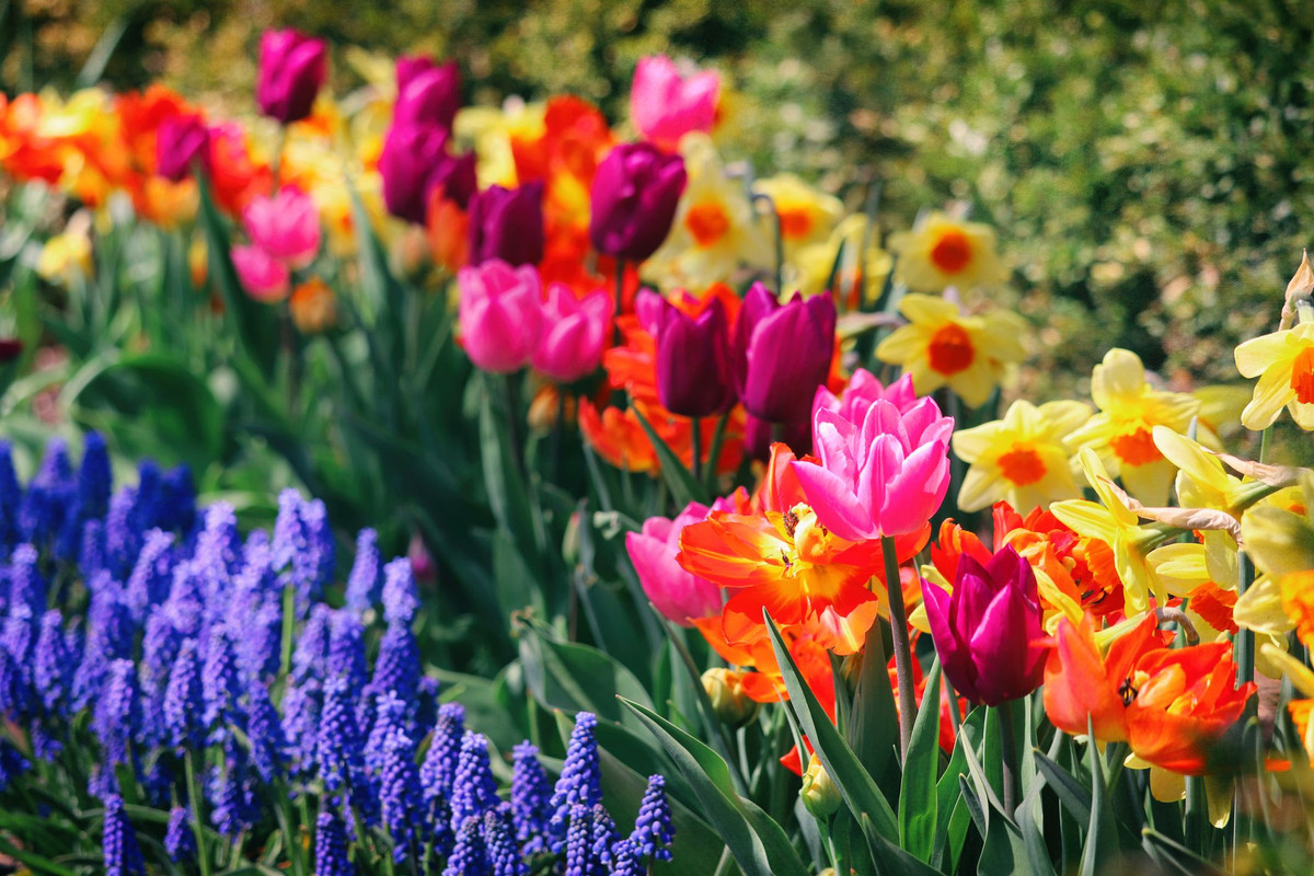 Spring
