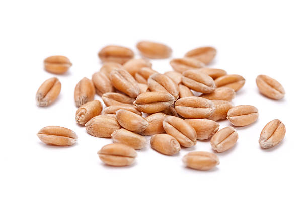 Whole / Unbroken Grain