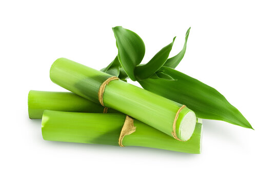 Node of Bamboo Tree