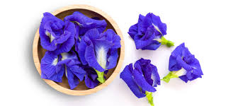 Butterfly Pea, Aparajita