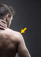 Shoulder