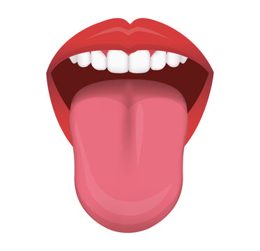 Tongue