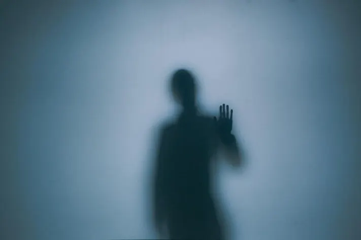Shadow