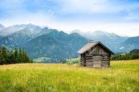 Elevated Shed