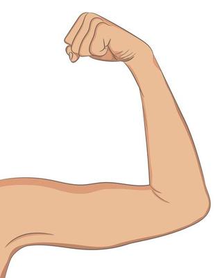 Upper Arm