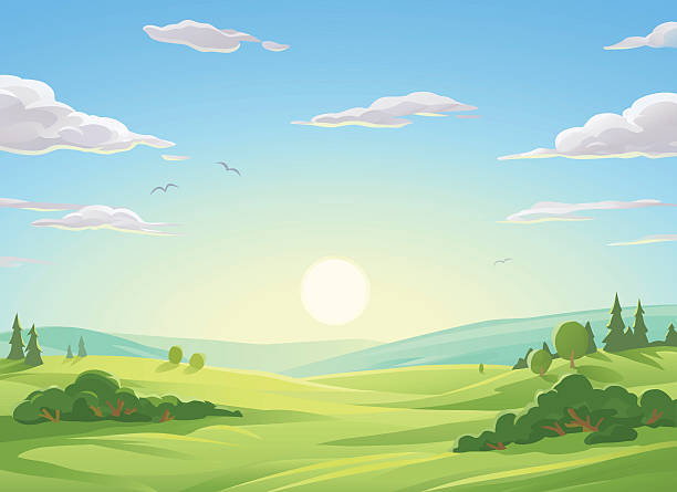 Dawn