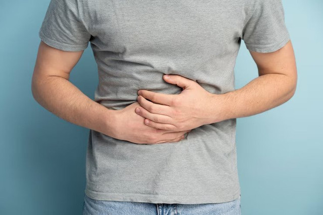 Stomach