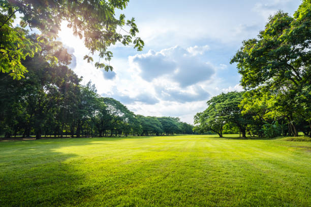 Garden, Park