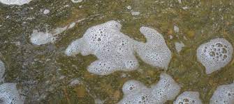 Foam