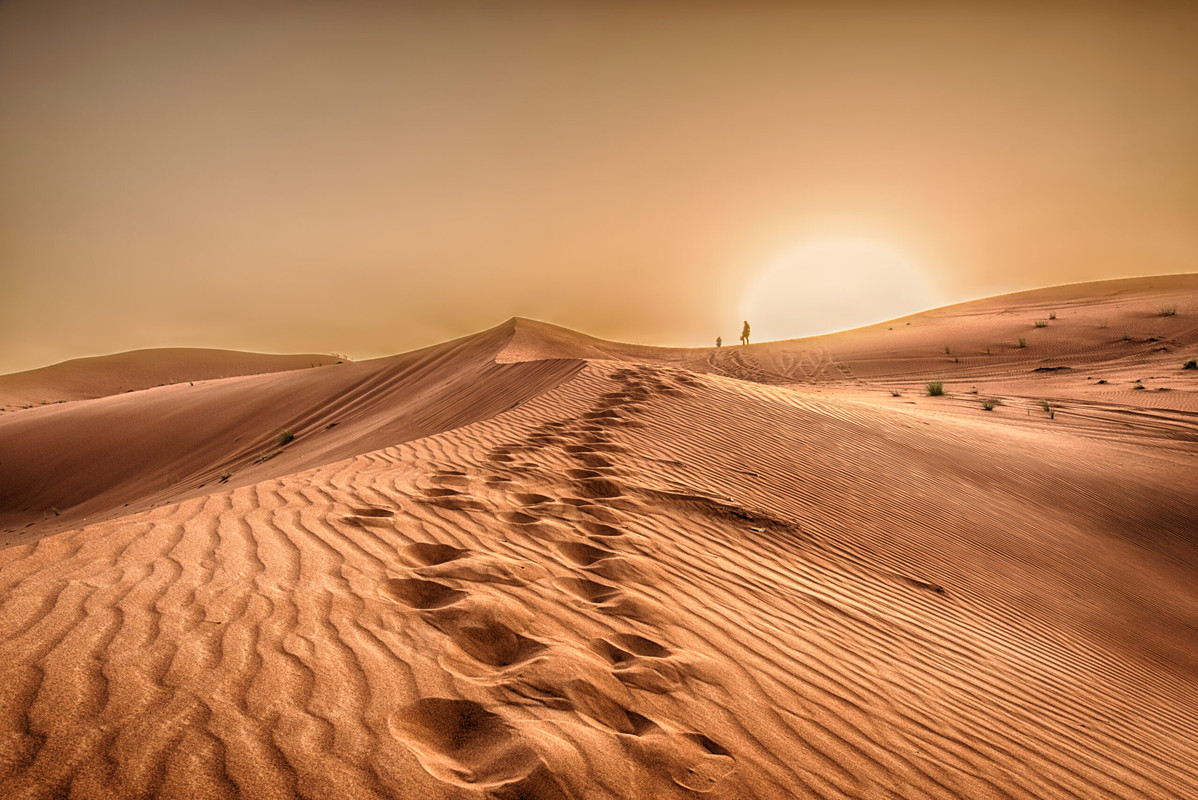 Desert