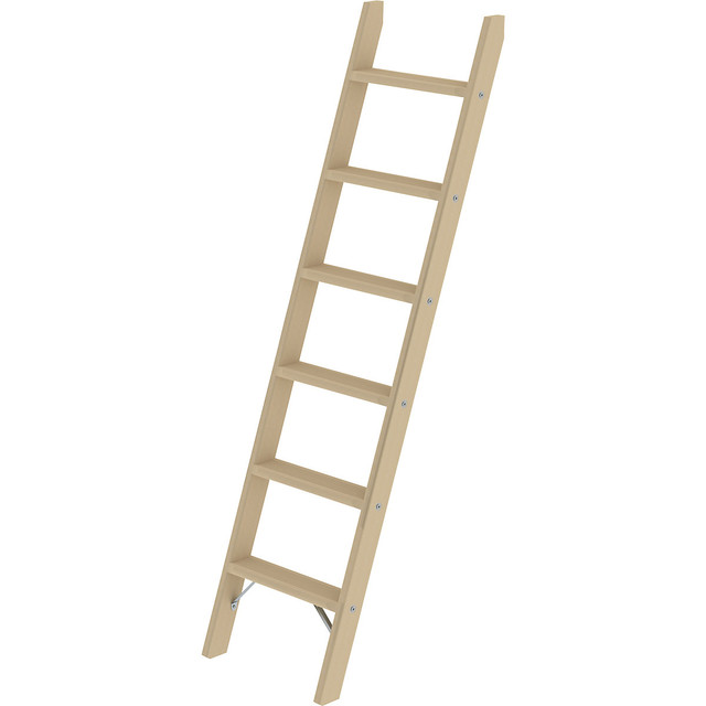Stepladder, ladder