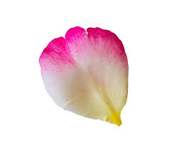 Petal