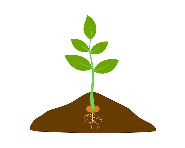 Sprout