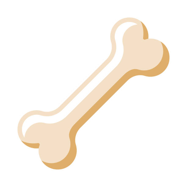 Bone