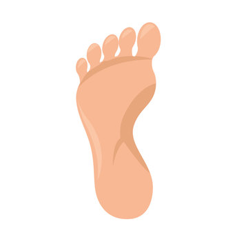 Foot Sole