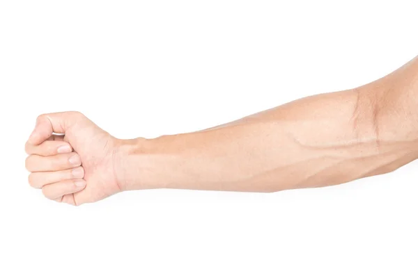 Forearm
