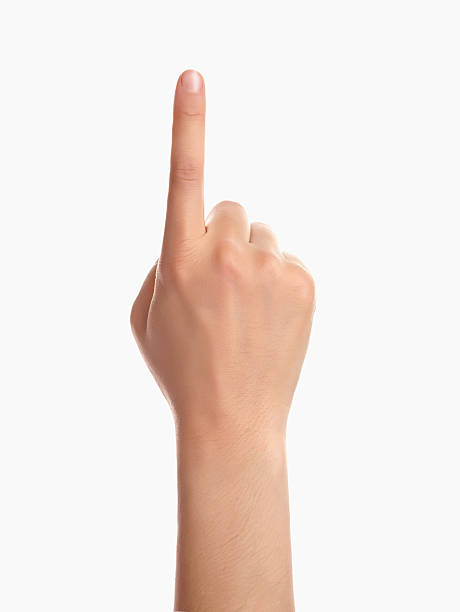Finger