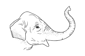 Elephant Trunk