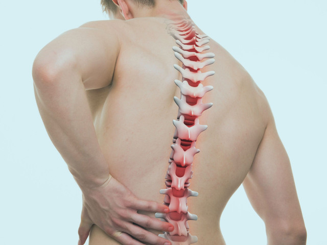 Back-bone